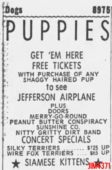 Birmingham Stadium 1967 - Puppies Ad